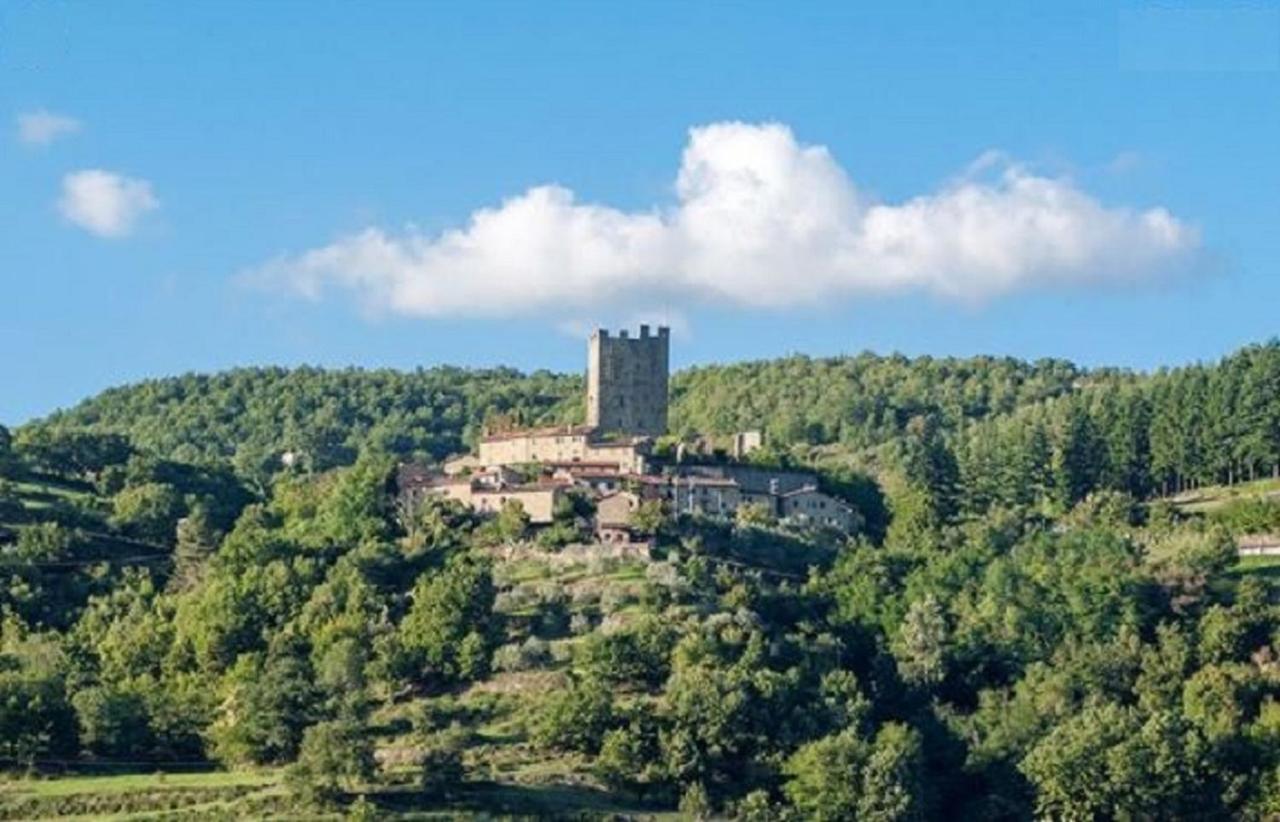 Casa Titina Riposo E Relax Nella Campagna Toscana Pratovecchio Kültér fotó
