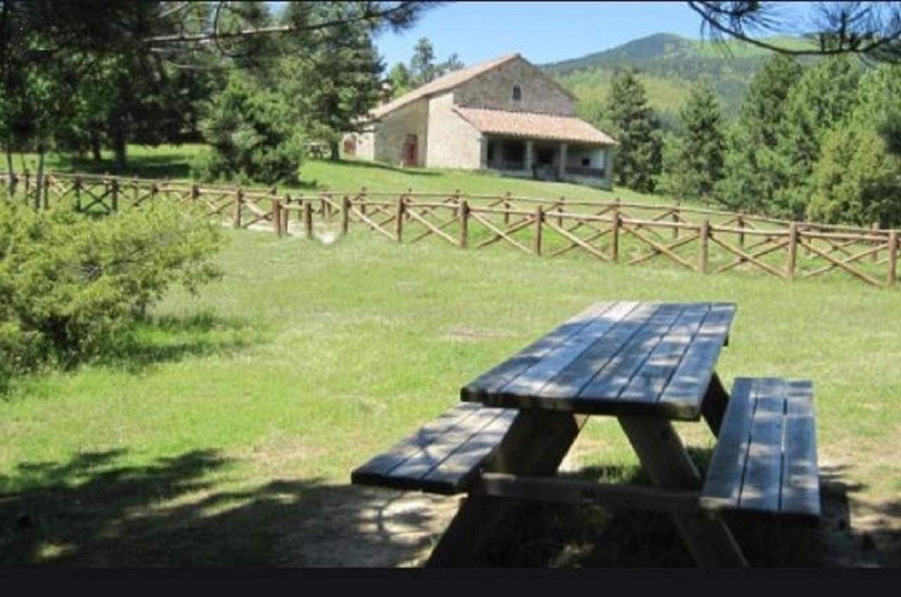 Casa Titina Riposo E Relax Nella Campagna Toscana Pratovecchio Kültér fotó