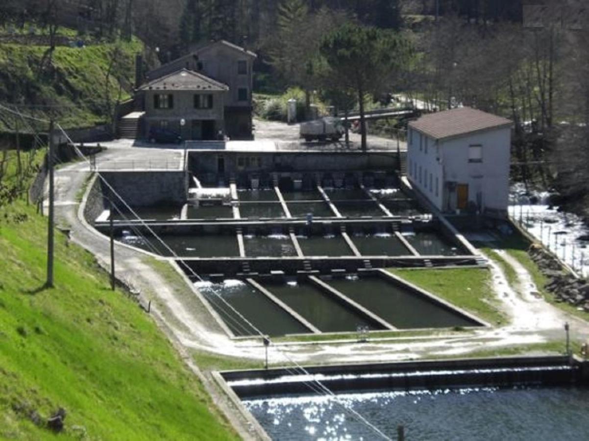 Casa Titina Riposo E Relax Nella Campagna Toscana Pratovecchio Kültér fotó