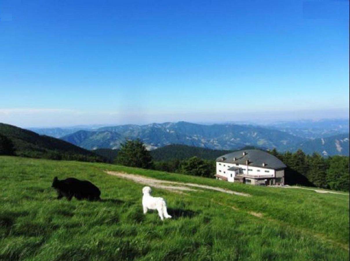 Casa Titina Riposo E Relax Nella Campagna Toscana Pratovecchio Kültér fotó