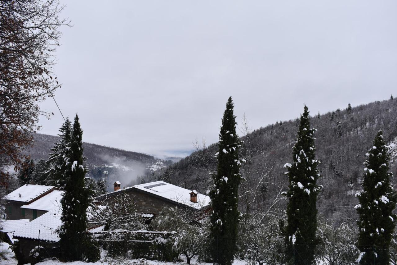Casa Titina Riposo E Relax Nella Campagna Toscana Pratovecchio Kültér fotó