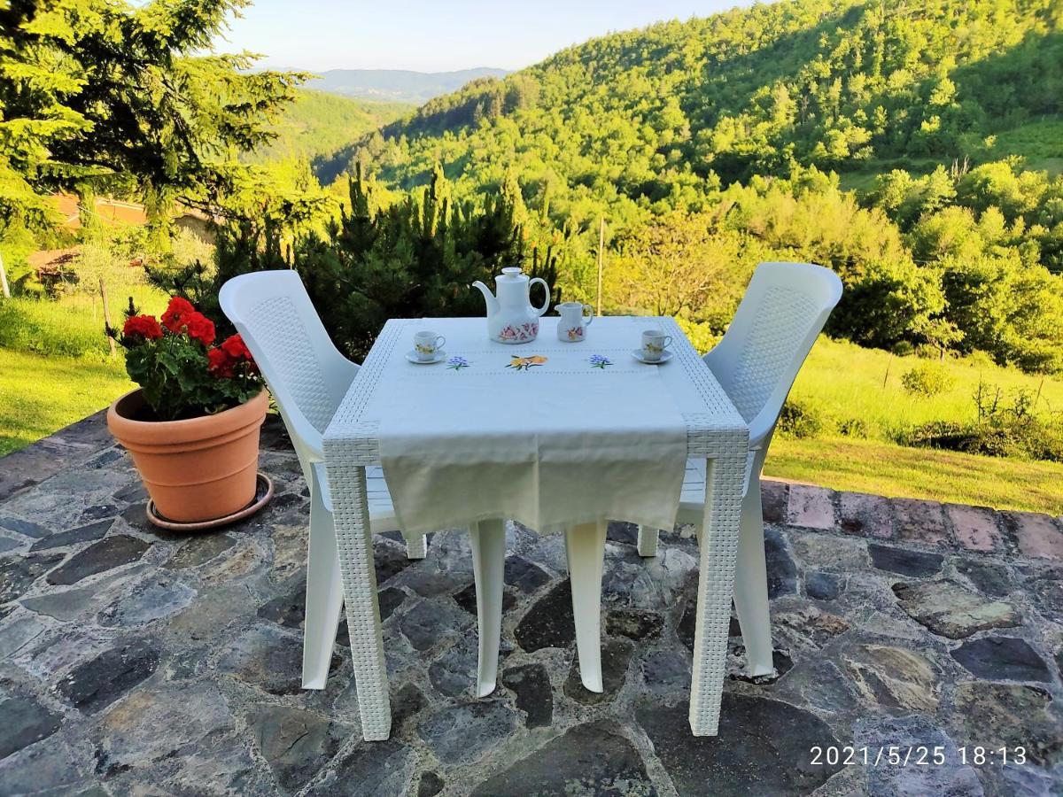 Casa Titina Riposo E Relax Nella Campagna Toscana Pratovecchio Kültér fotó